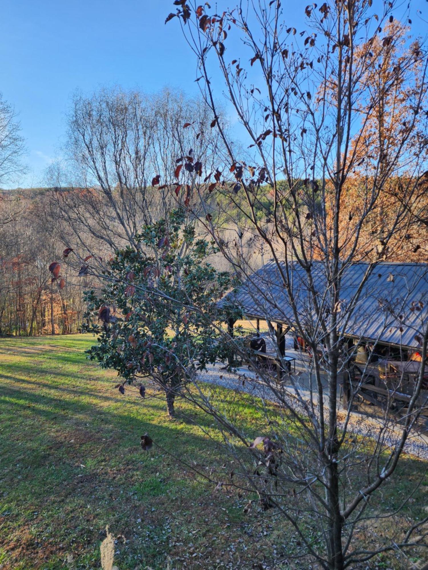 Lodge At Tellico Tellico Plains Extérieur photo
